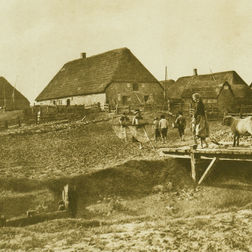 Historische Aufnahme: Knudswarft (1895)