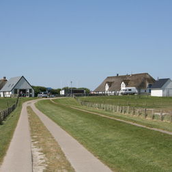 Hauptwarft mit Hallig-Krog