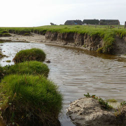 Priel auf Hallig Hooge