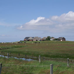 Warft auf Hallig Langeneß