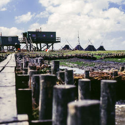 Pfahlbauten auf Hallig Norderoog