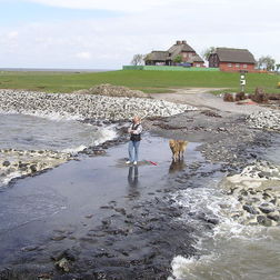 Warft auf der Hallig Südfall